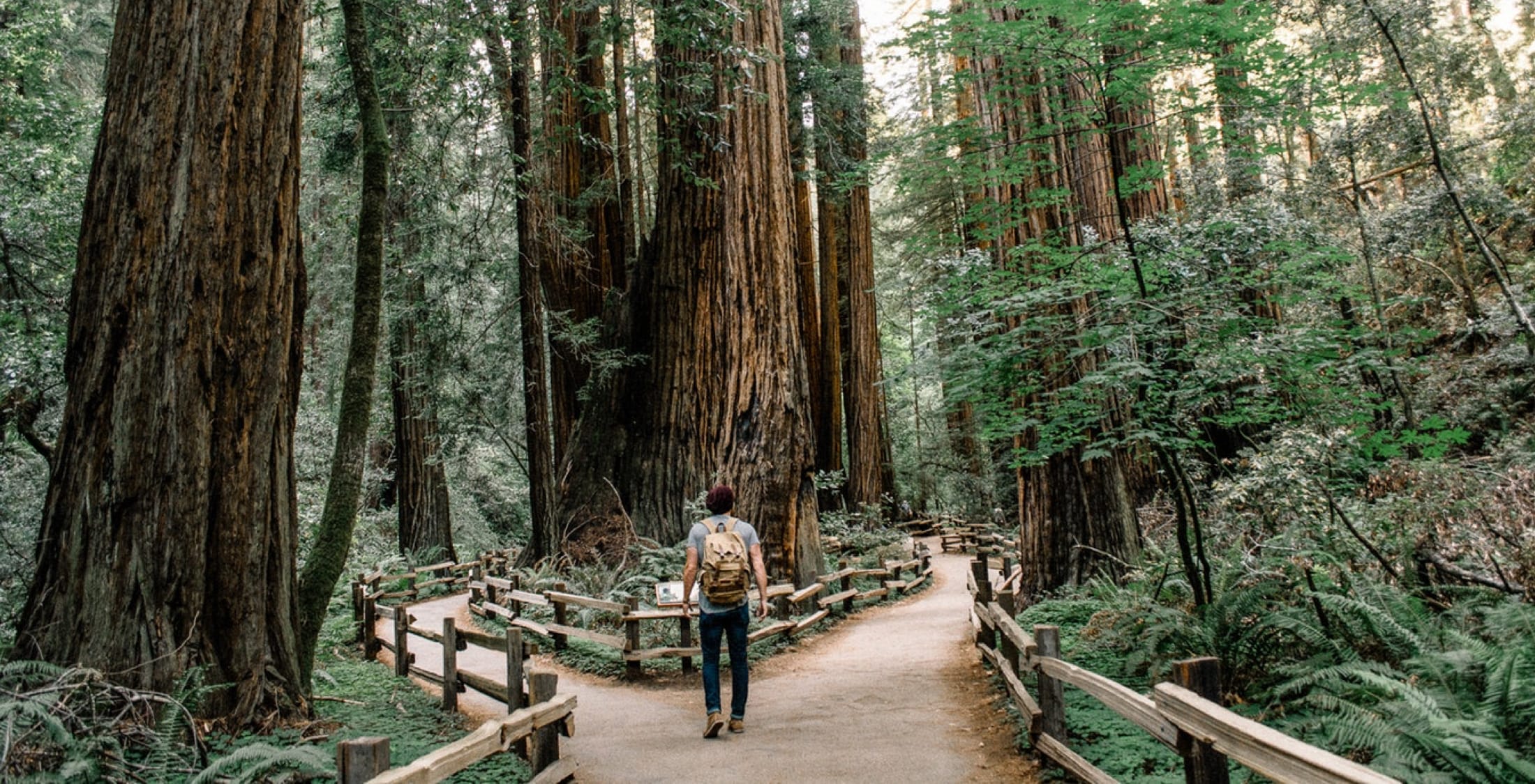 Laravel Breadcrumbs Package Laravel News